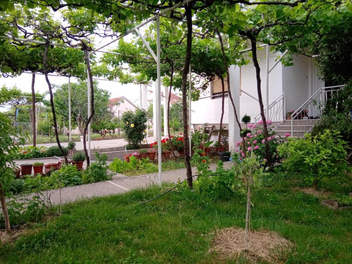 Hostel Olea Podgorica Exterior photo